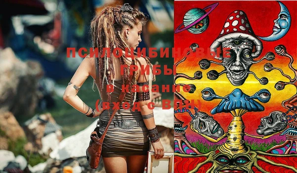 дурь Россошь